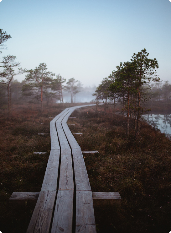 Coaching development